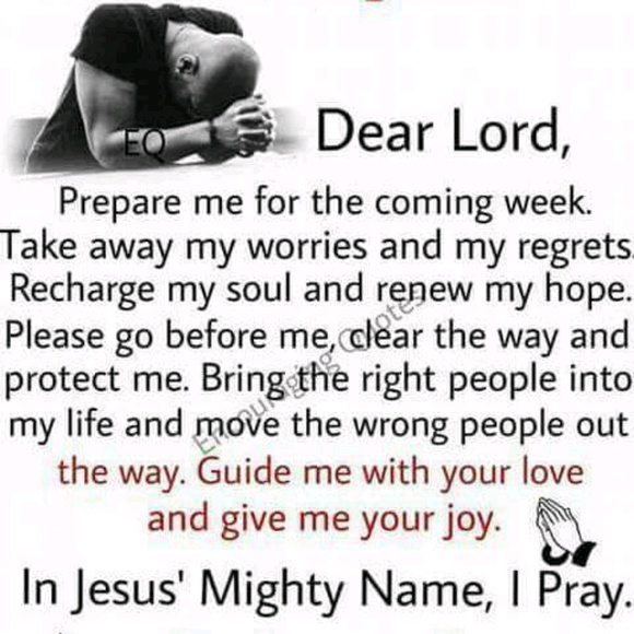 Meet your Posher, Dorothy - Picture 1 of 1